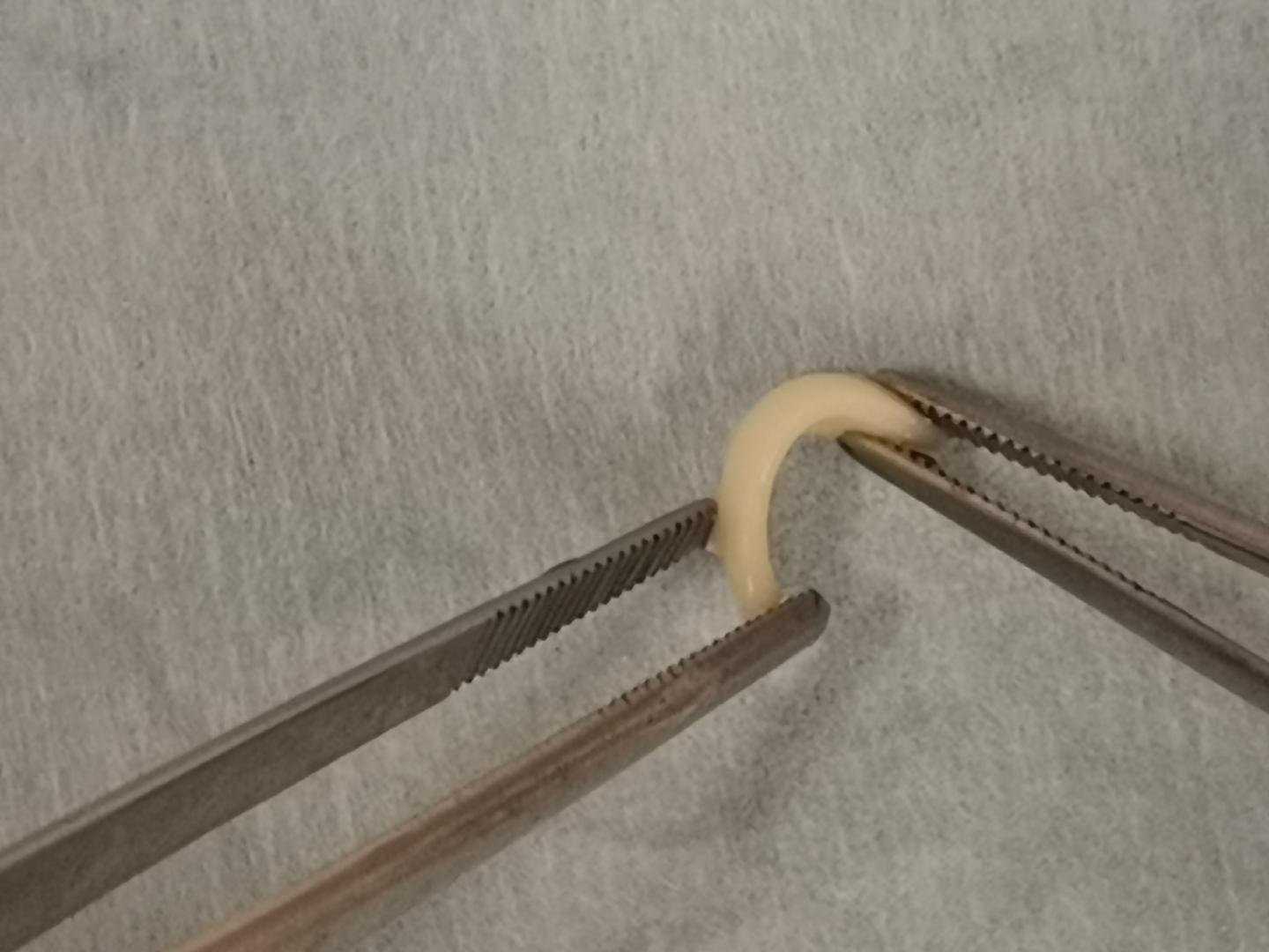 U of A researchers successfully use 3-D 'bioprinting' to create nose cartilage