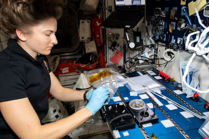 NASA Astronaut Kayla Barron [IMAGE] | EurekAlert! Science News Releases