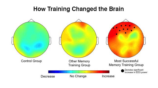 Brain Training Graphic