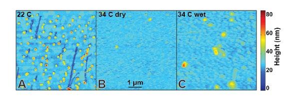 Virus-like particle degradation with temperature