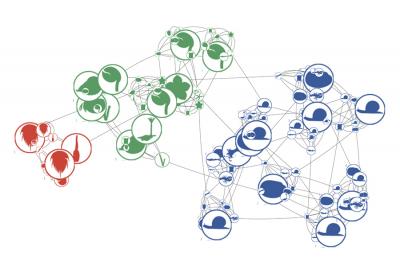 Network Analysis of Fossils