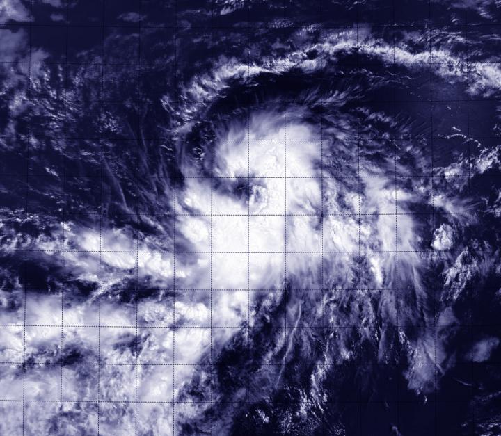 MODIS Image of TD4