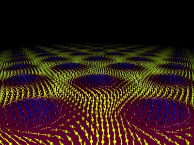 A Grid of Magnetic Vortex Structures