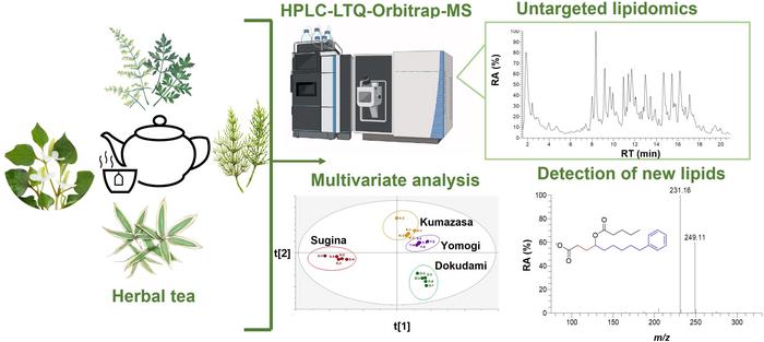 Separation and analysis revealed the lipid profiles of four herbal teas