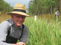 Professor Robert Henry Collects Wild Rice