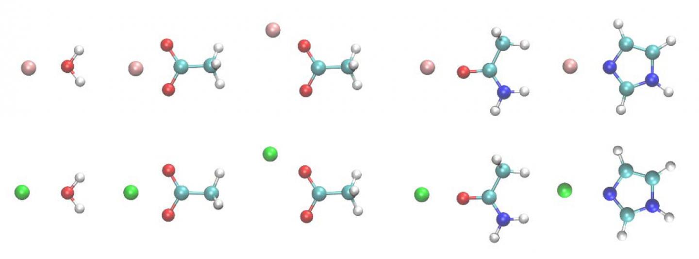 Structures of the Metal Ion-Ligand Dimers