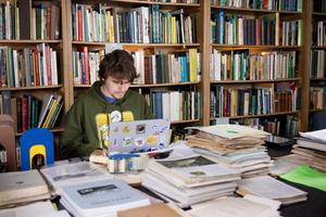 A researcher using the ARDRC collection