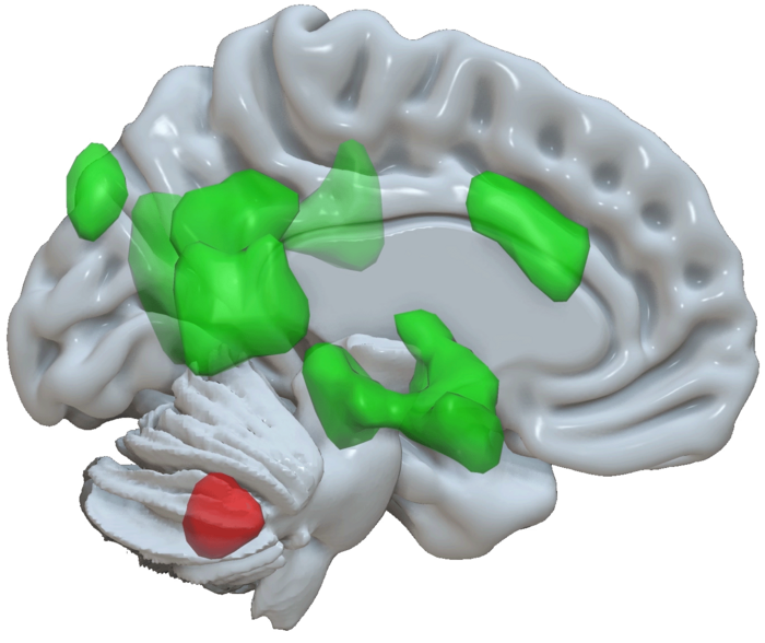 The cerebellum and emotional memory