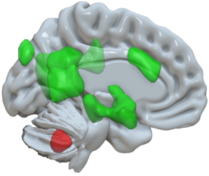 The cerebellum and emotional memory