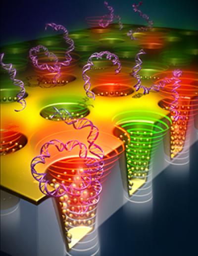 Model of Nano Cup Arrays