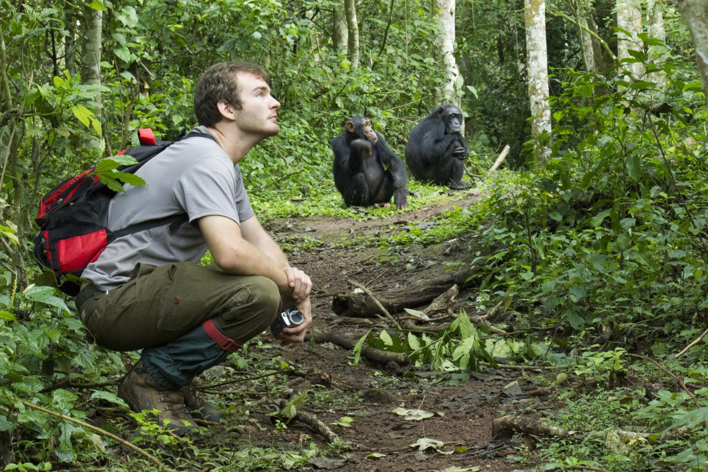 Dr. Gruber with Wild Chimps