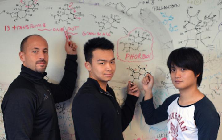 Phil Baran, Hang Chu and Shuhei Kawamura, Scripps Research Institute