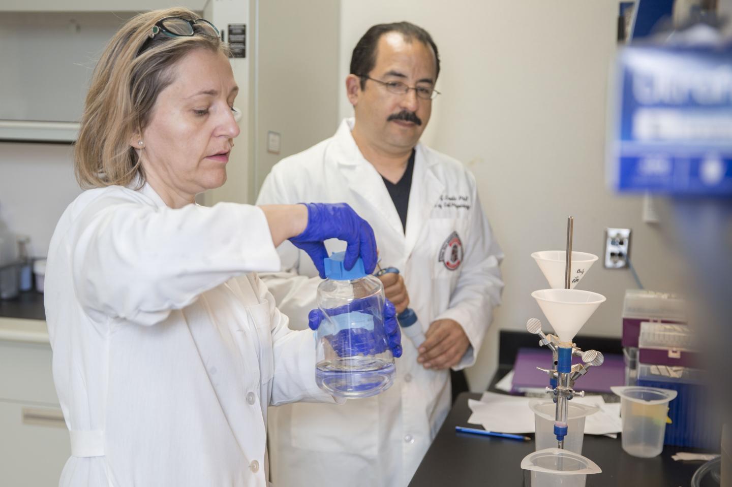 Dr. Luis G. Cuello and Dr. Nermina Jahovic, Texas Tech University Health Sciences Center