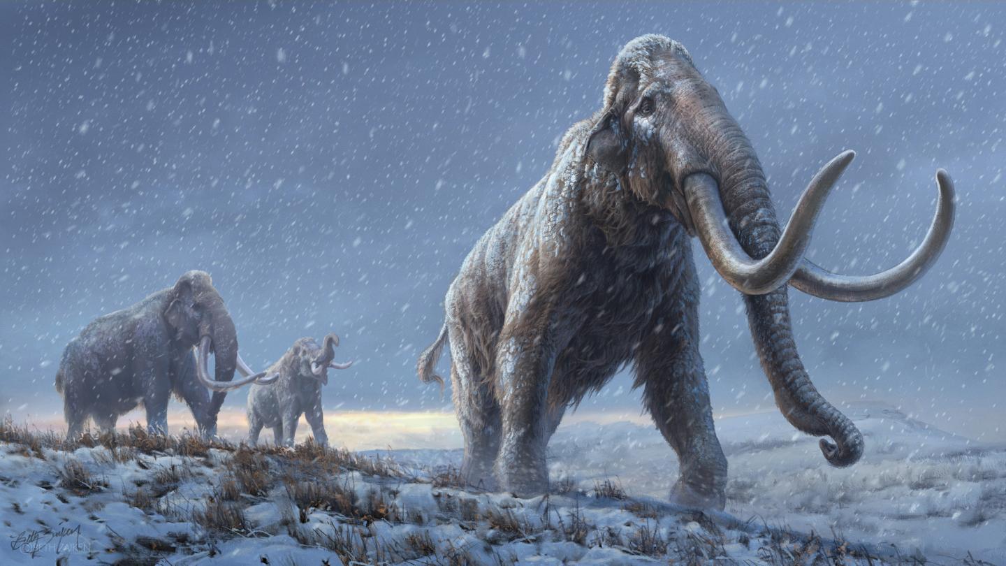 Illustration steppe mammoth