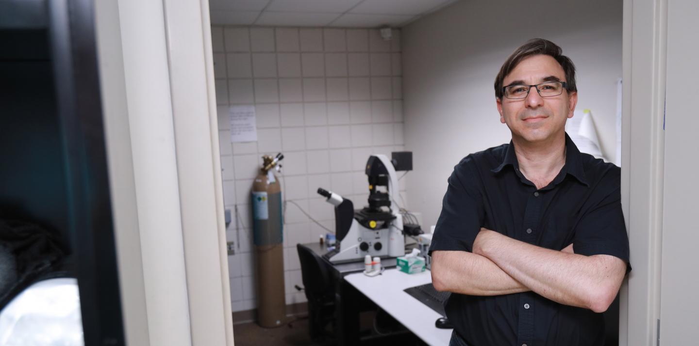 Dr. Tomer Avidor-Reiss,  University of Toledo 