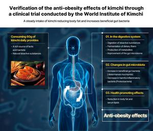 Diagrammatic representation of the results of the clinical trial on the anti-obesity effects of kimchi