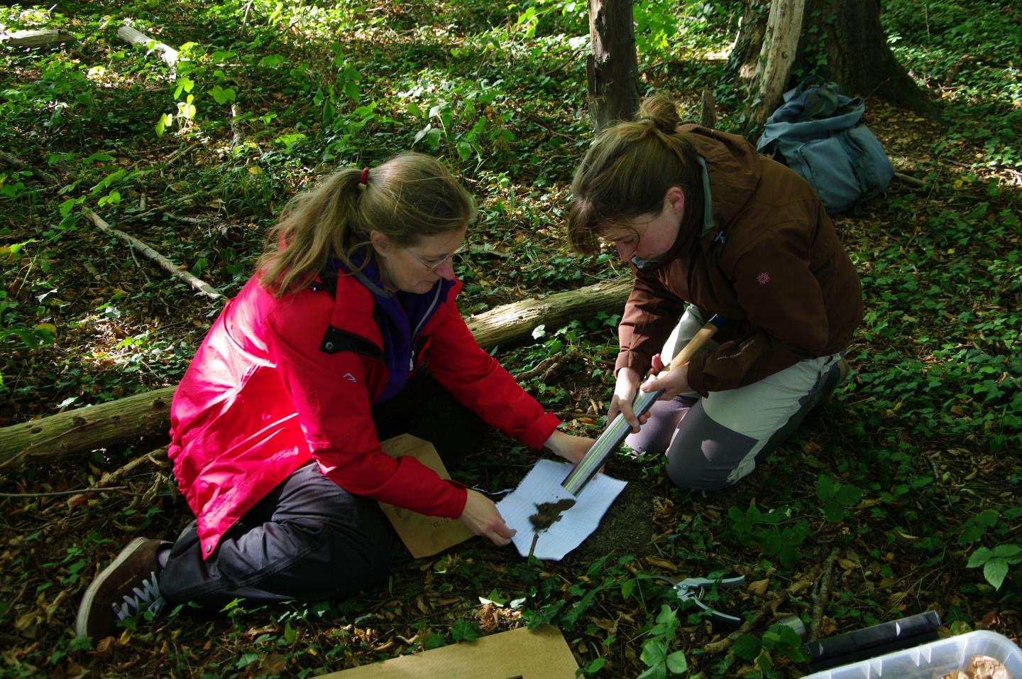 Soil Sampling