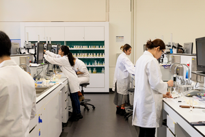 Researchers at a Charles Perkins Centre lab