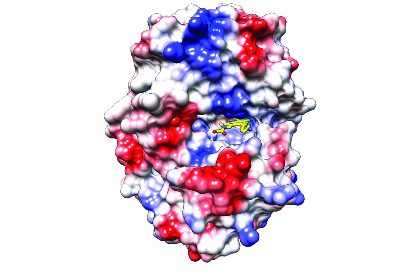 Compound to Treat Autoimmune Disorders