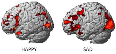 Brain Image: Happy, Sad