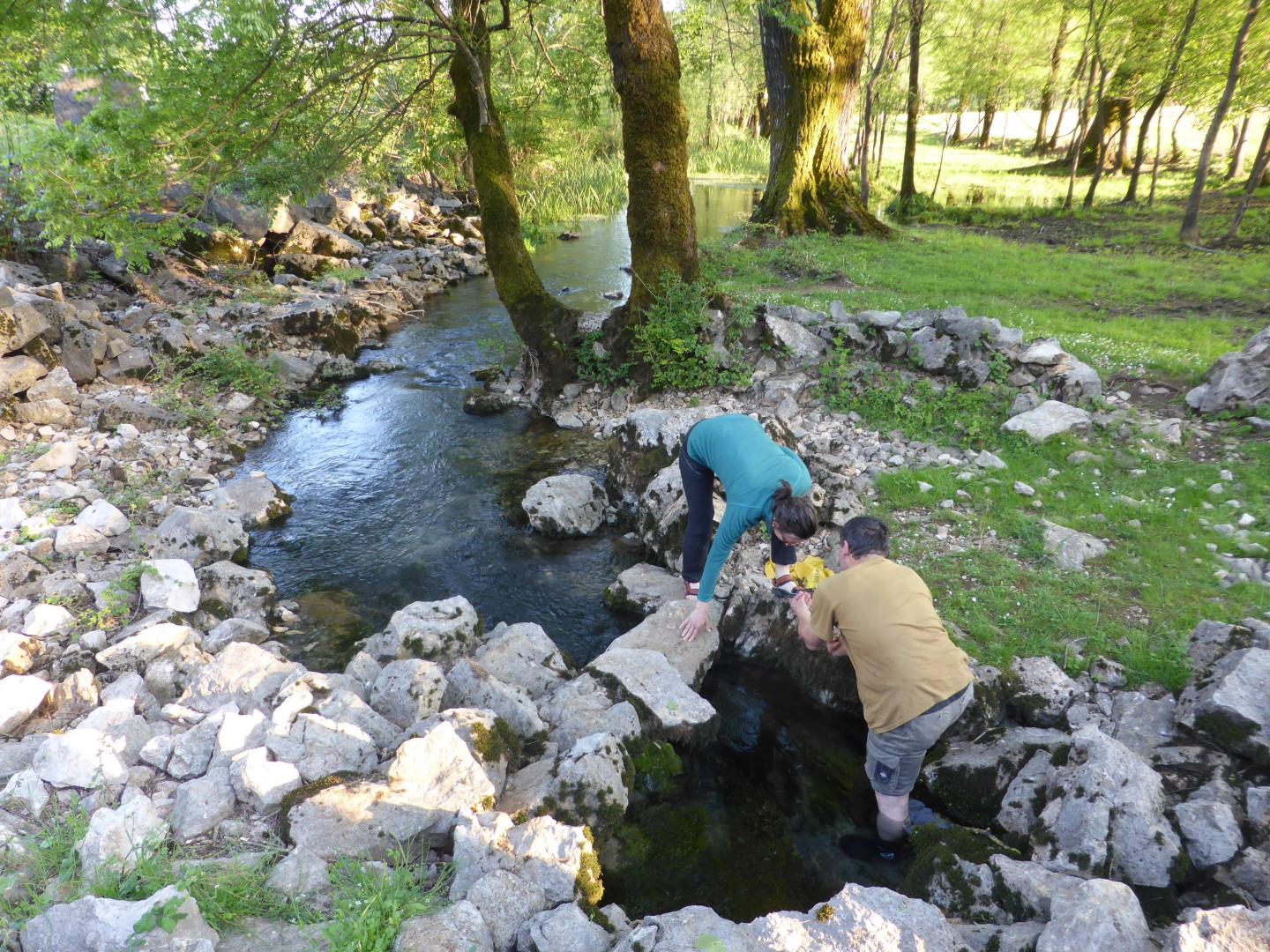 The Locality Where the New Species Tavunijana djokovici Was Found