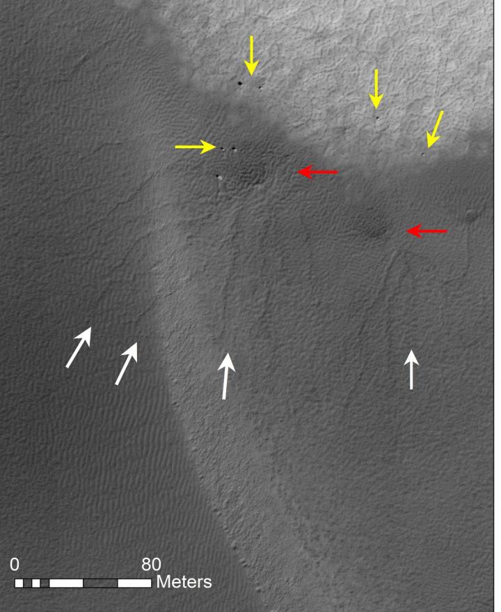 Dendritic Furrows on Martian Dunes