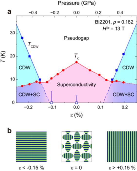 Long-range charge density wave (CDW) order induced by strain in optimally doped Bi2Sr2-xLaxCuO6+δ superconductor