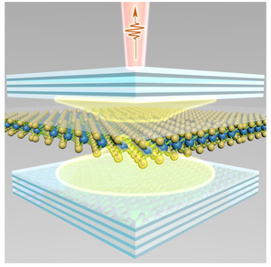 2D-crystals emit laser light