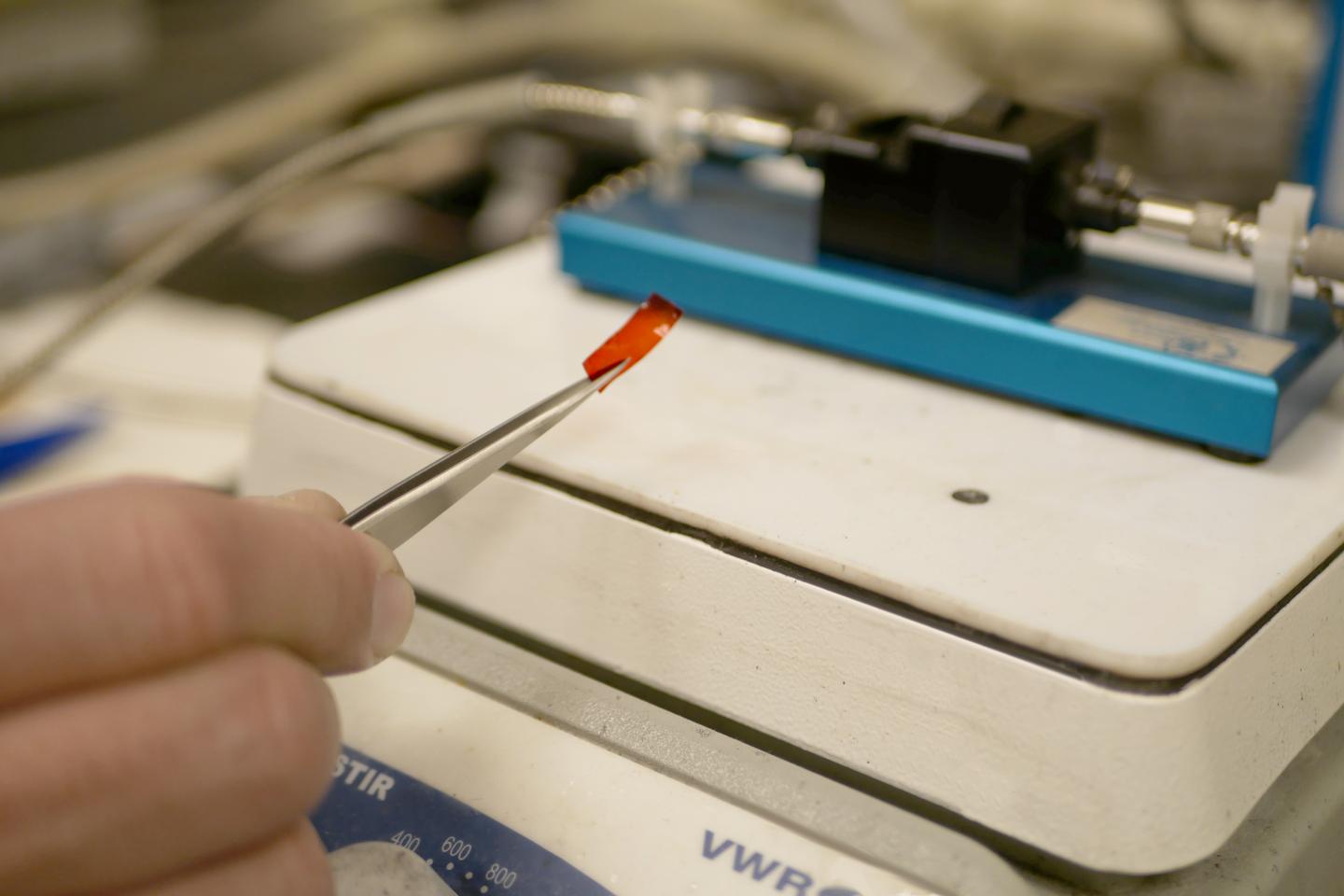 Angelopoulos (3 of 3)