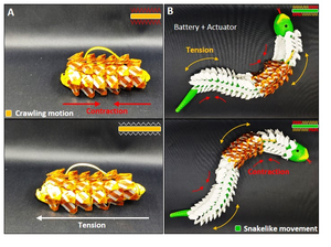 Application of the stretchable scale battery in soft robots