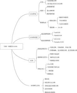 Structure diagram for segment anything model research