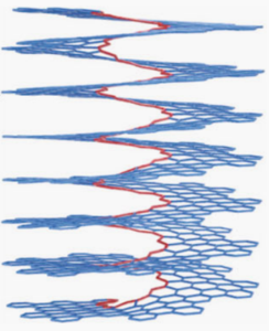 Illustration of CNS with Riemann surface. (Image by WANG Jinyi et al.)