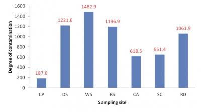 Estimated Health Hazard Around e-waste Site