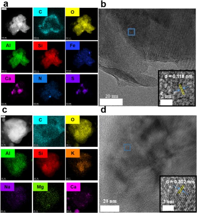 Scanning transmission electron microscopy (STEM) images of kaolin particles found in xylem sap in high-angle annular dark field (HAADF) mode and elemental mapping.