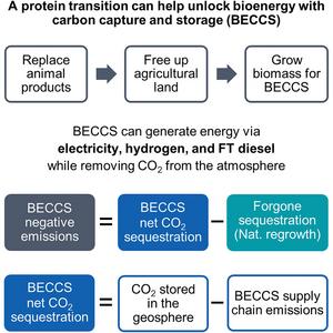 A protein transition can free up land to tap vast energy and negative emission potentials