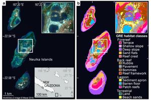 Researchers Use Satellites to Analyze Global Reef Biodiversity