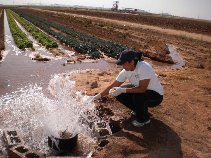 Water Sampling of Irrigation Ditch