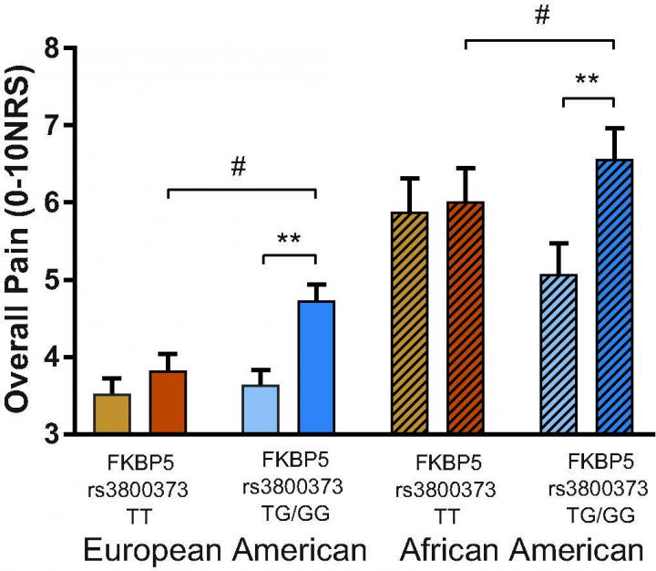 Stress Gene Influences Chronic Pain