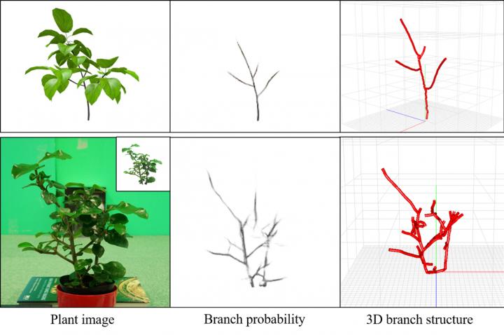 Fig.1 Estimated 3D Plant Branch Structure