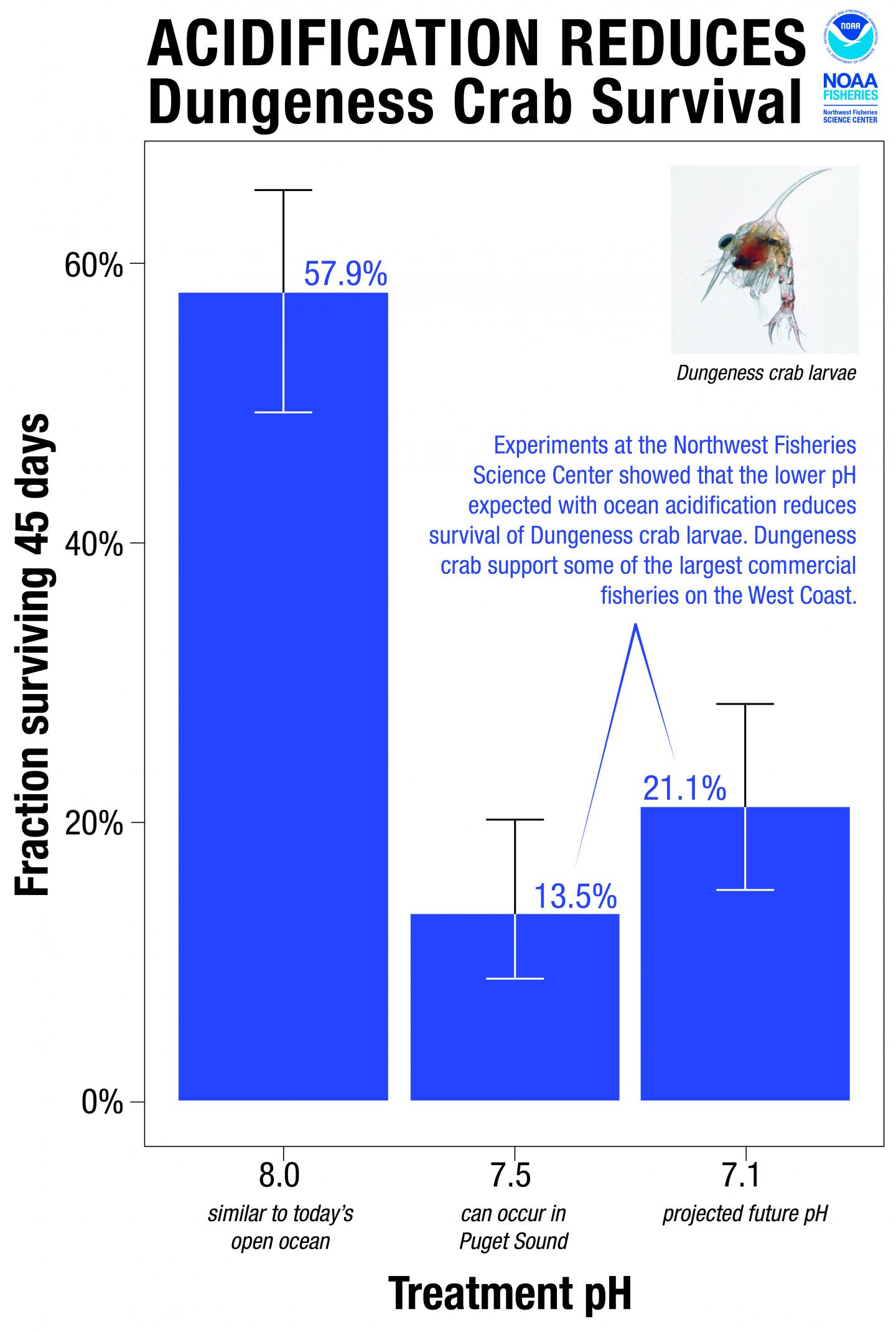 Acidification Reduces Dungeness Crab Survival