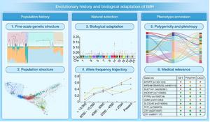 Evolutionary history and biological adaptation of Han Chinese people on the Mongolian Plateau