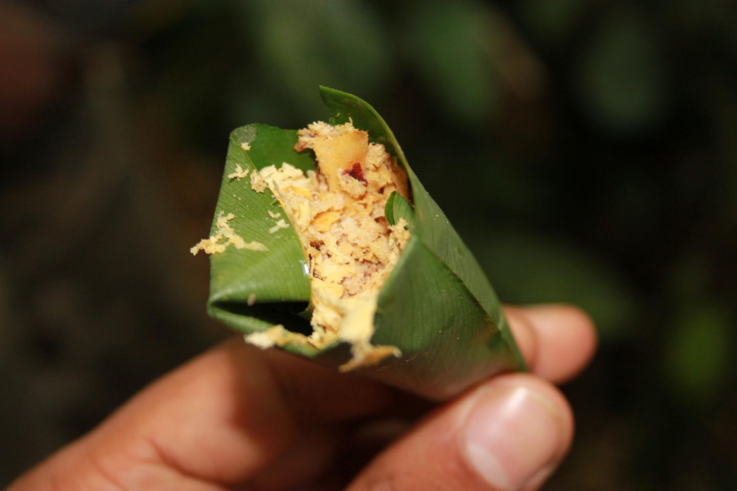 Bark of <em>Entandrophragma cylindricum</em>