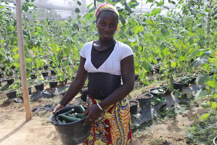 Growing Food for Mali in Mali