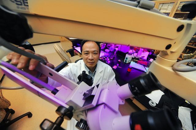 Dr. Joe Z. Tsien,  	Medical College of Georgia at Augusta University