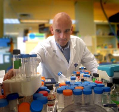 Alcohol Consumption Can Cause Too Much Cell Death, Fetal Abnormalities (1 of 2)