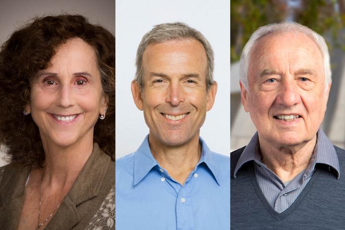 Winners of Max Cooper Prize in Immunology