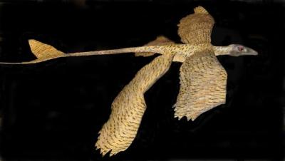 Microraptor