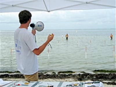Study of Public Beaches by University of Miami's Oceans and Human Health Center
