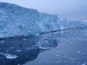 Thwaites Glacier, western Antarctica, 2019 (Larter photo)