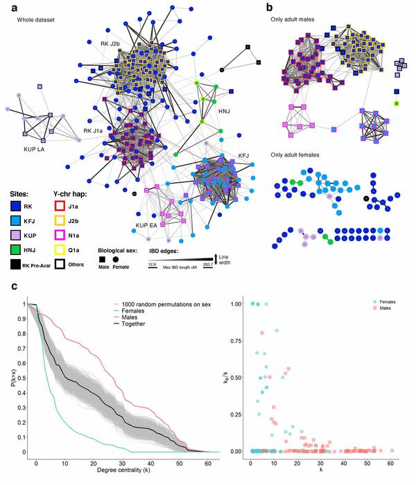 Network analysis [IMAGE] | EurekAlert! Science News Releases